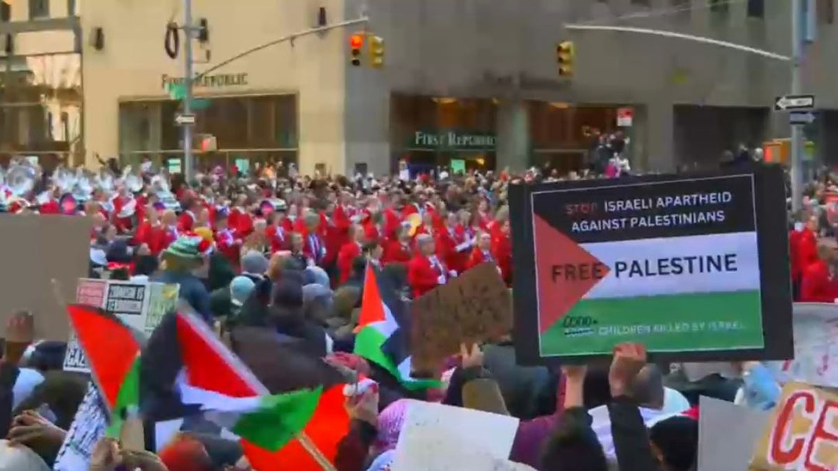 pro-Palestinian protesters at parade