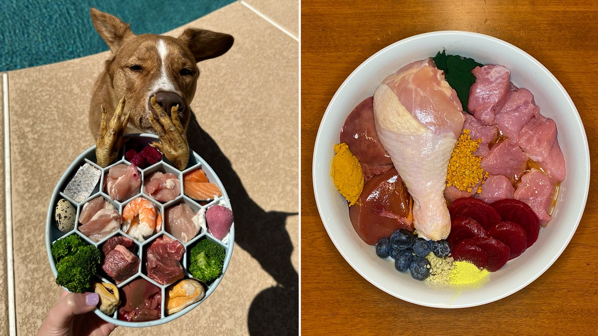 raw dog food diet split