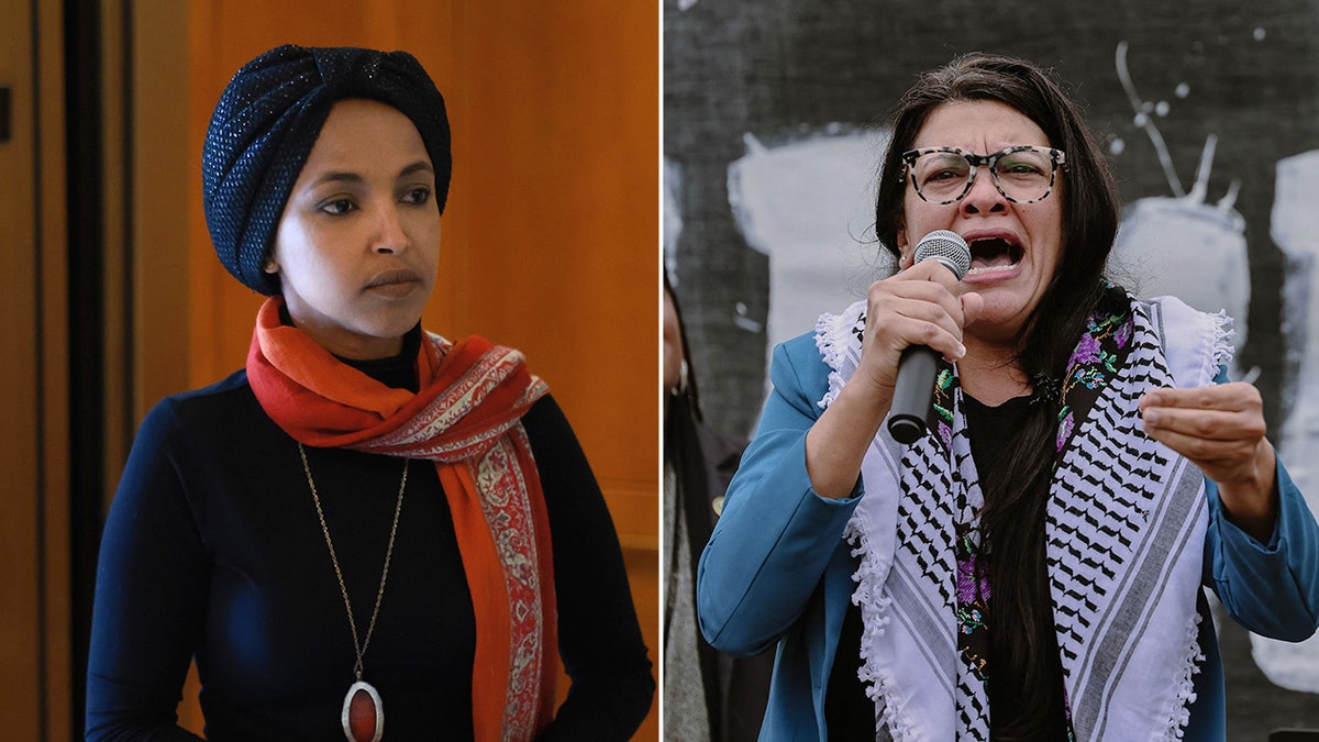 Who is Rashida Tlaib, why was the Palestinian-American lawmaker