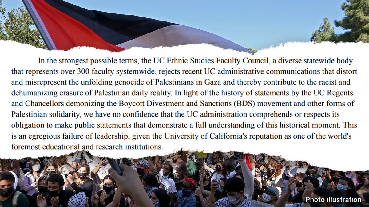 UC Ethnic Studies Faculty Council letter over background of Palestinian flag and protesters