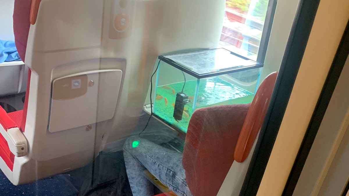 fish tank on a train