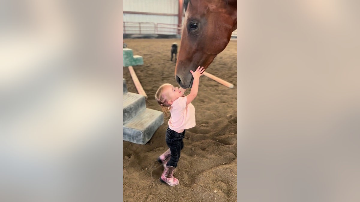 Mayzee Evans petting a horse