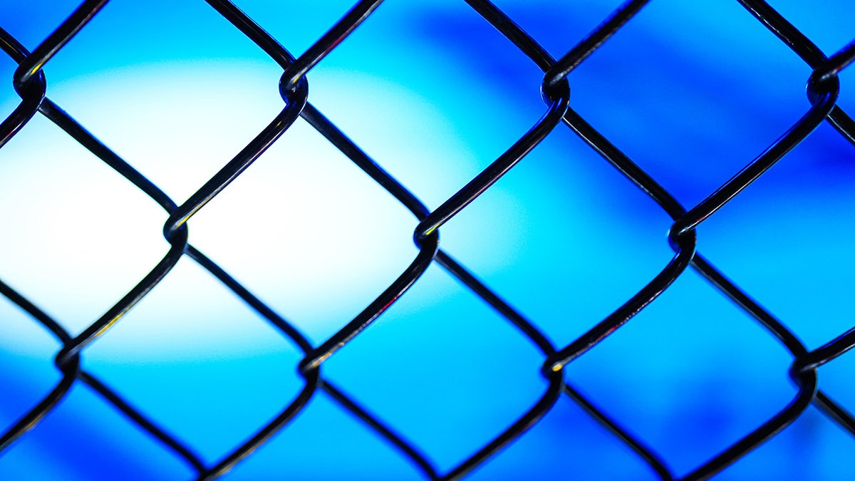 ufc fence