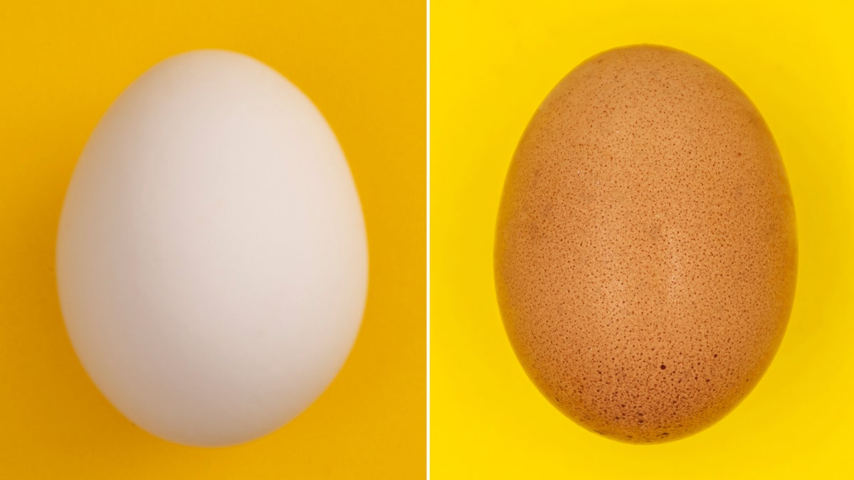 white eggs and brown eggs