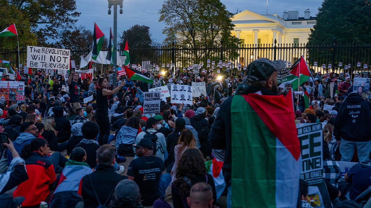 pro-Palestinian protesters outside the White House in November 2023
