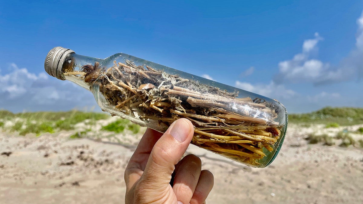 Witch bottle found in Gulf of Mexico