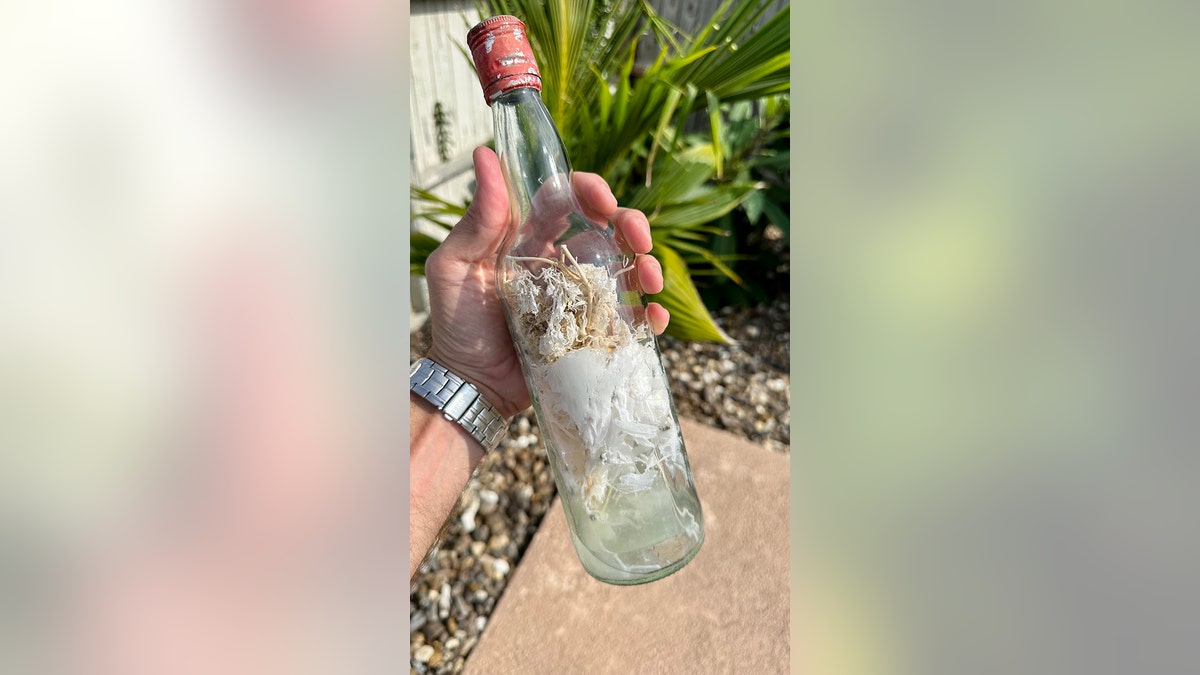 Witch bottle found along the Gulf of Mexico
