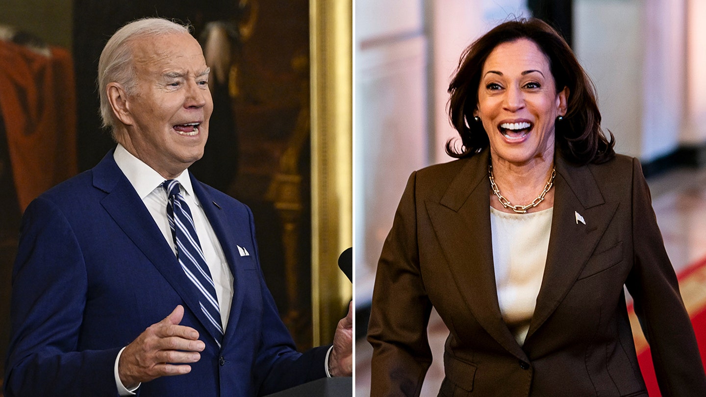 Biden's Re-election Woes: Democrats in 'Doom Loop' Over Kamala Harris as Plan B