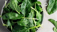 Spinach pulled from store shelves over potentially harmful bacteria - Fox Business News