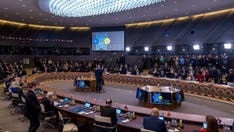 Ukraine to receive NATO support for 'as long as it takes,' gain alliance membership after conflict