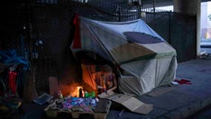 Los Angeles freeway fire, which endangered 16 people, leads to renewed calls to address homeless crisis