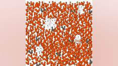 Photo hunt: How fast can you find 5 carrot noses belonging to the snowmen?