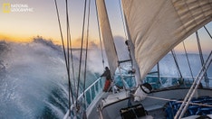 National Geographic releases its ‘Pictures of the Year’: See some of the jaw-dropping shots