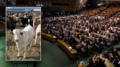 GOP rep introduces resolution condemning UN for calling on Americans to stop eating meat
