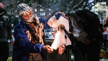 Pro-Palestinian demonstrator sets Israeli flag on fire in NYC protest, stomps on it