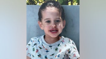 4-year-old American girl among 17 hostages released by Hamas