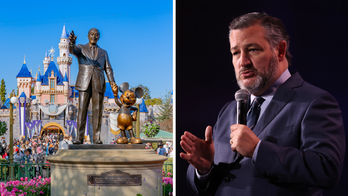 Disney's 'stunning' financial statements show company has risked profits for woke politics: Ted Cruz