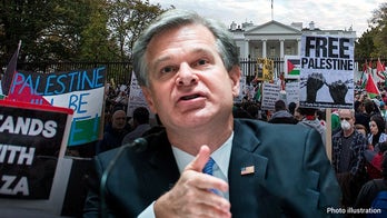 Heightened alert for 'lone wolf' terror attacks in US as Israel battles Hamas militants abroad