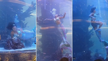Quick thinking 'mermaid' narrowly escapes drowning after tail gets caught in aquarium tank
