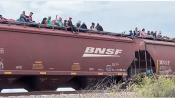 Nebraska Sen. Fischer slams 'highly troubling' border railway operations suspension: 'economic crisis'