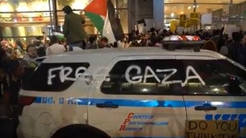Pro-Palestinian rioters vandalize NYPD cruiser during anti-Israel protests