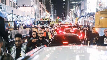 Pro-Palestinian rallies in NYC and DC interrupt crowded hubs during rush-hour commute