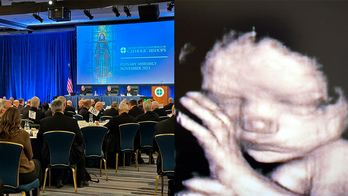 US Catholic bishops reaffirm ending abortion as ‘pre-eminent priority’