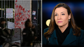 ABC reporter ripped for calling anti-Israel protest 'passionate' that defaced White House gates