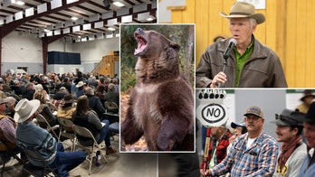 Local residents explode at Biden officials over plan to release grizzly bears near their communities