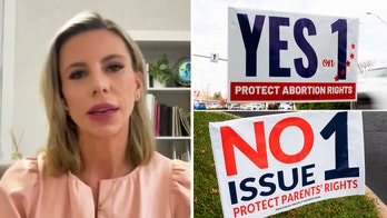 GOP's election losses show it is running 'JV' operation that needs serious fixes: conservative leader