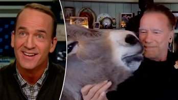 Arnold Schwarzenegger's pet donkey leaves Peyton Manning stunned