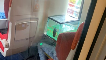 Fish travel in style on train as man keeps tank's air filter going: 'Most ridiculous thing I've ever seen'