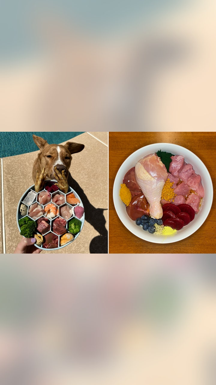 What'S a Raw Food Diet for Dogs: Ultimate Guide to Benefits & Tips