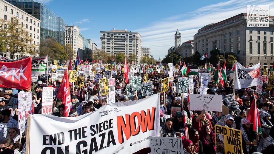 Pro-Palestine protestors in DC