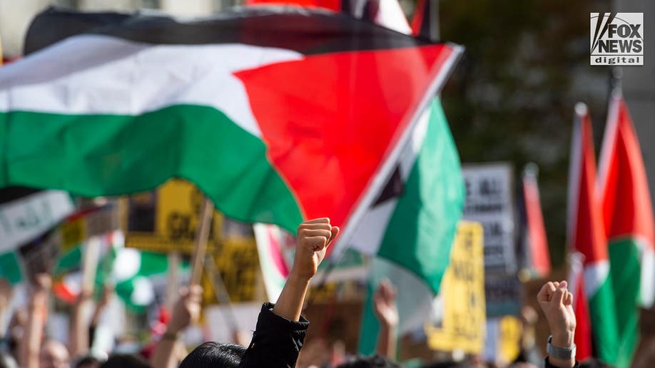 Pro-Palestine protestors in DC