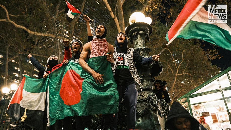 Pro-Palestine protesters march in New York City