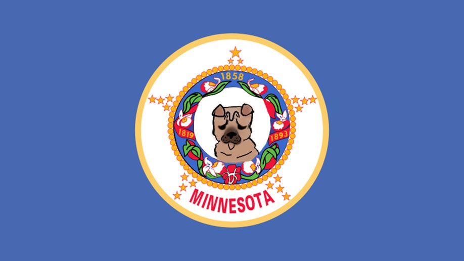 Minnesota flag submission