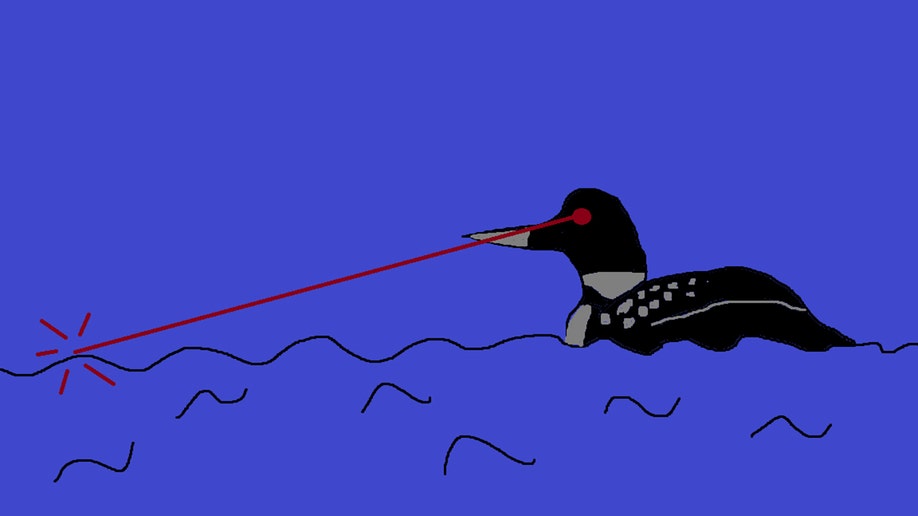 Loon with laser eyes