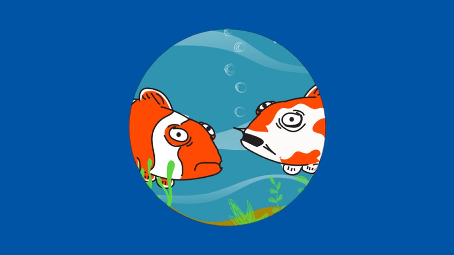 Blue field with two koi fish
