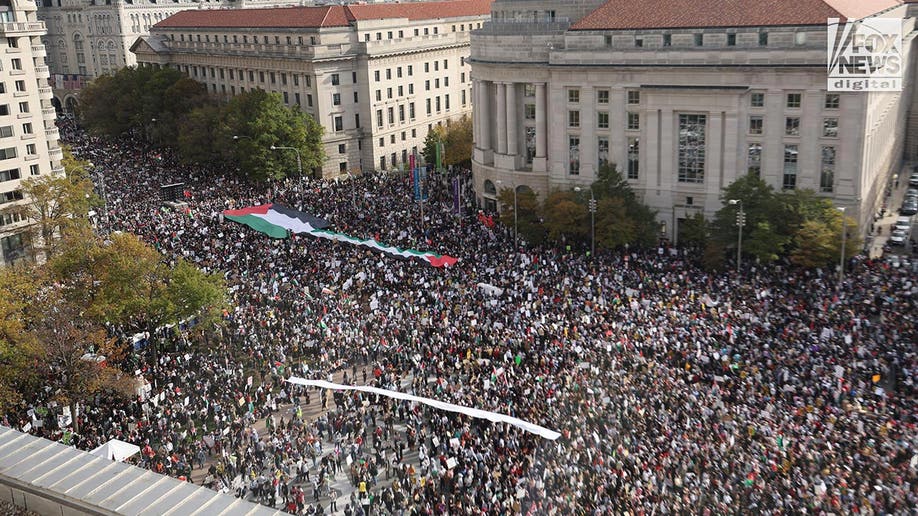 Pro-Palestine protestors in DC