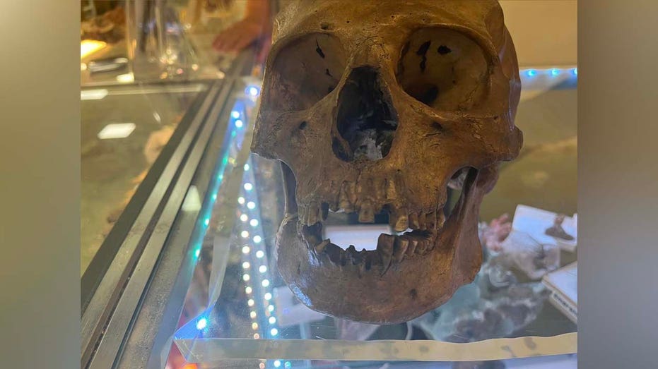 Grim discovery: Human skull found inside Florida thrift store
