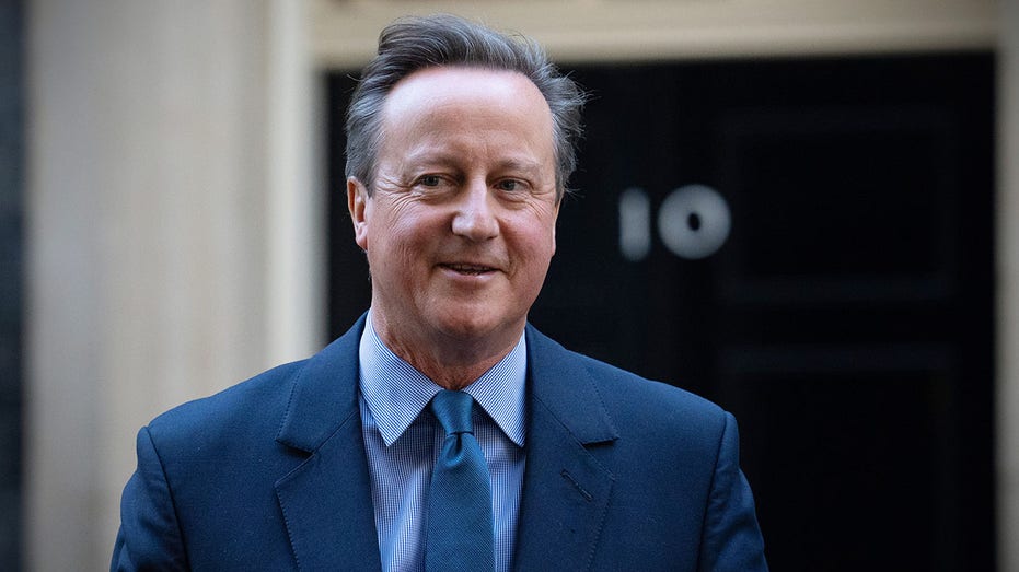 UK's David Cameron: 'Nonsense' that Ukraine is failing, says aid boosts US jobs