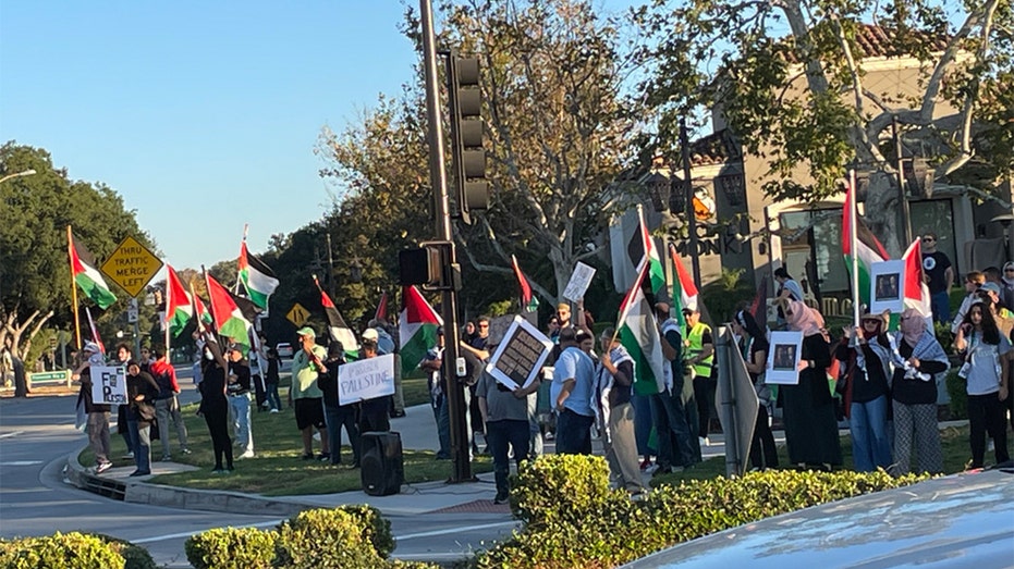 Elderly Jewish man dies after confrontation with pro-Palestinian protester at California rally