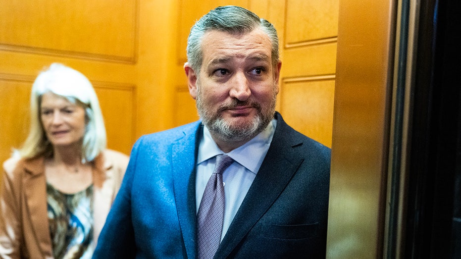 Cruz keeps 2028 door open as speculation grows over GOP's post-Trump future