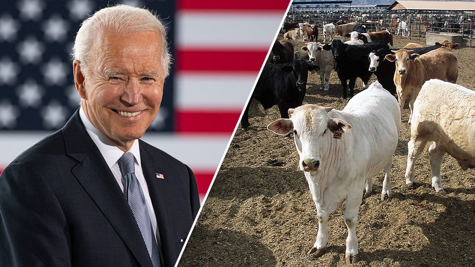 Biden admin under fire for opening borders to food imports potentially containing devastating disease