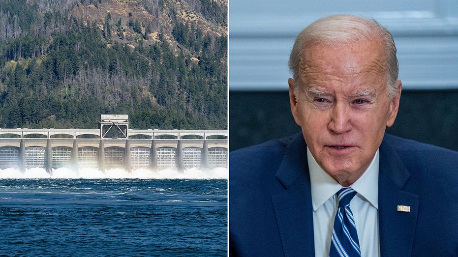 Court filings reveal secret agreement between Biden admin, eco groups seeking to tear down key power source