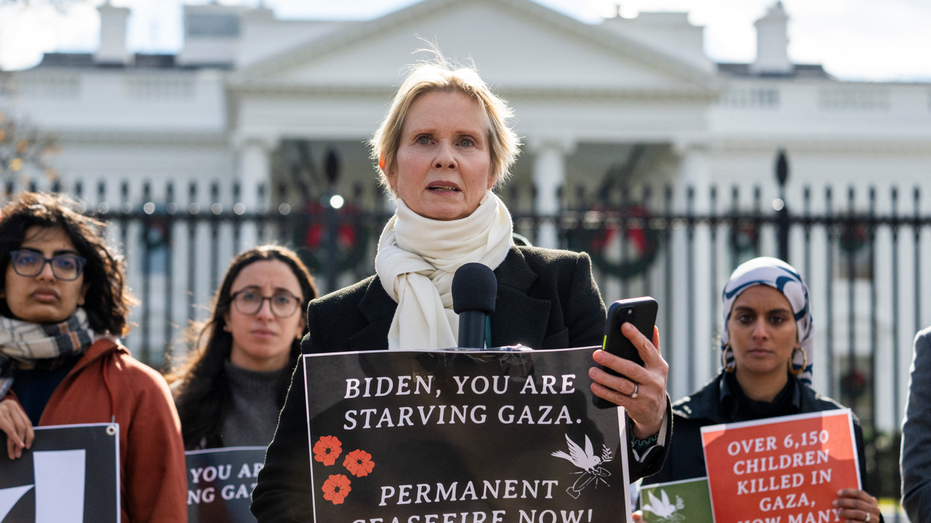 'Sex and the City' star Cynthia Nixon begins hunger strike demanding Gaza ceasefire from Biden