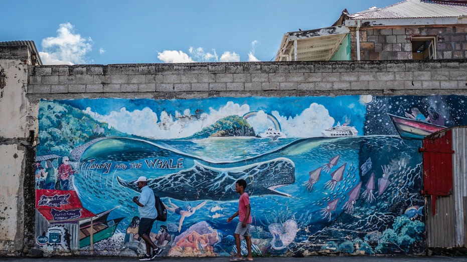Dominica creates world’s first marine reserve for endangered sperm whales