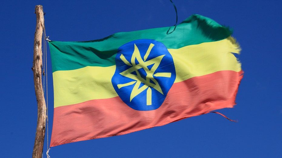 Fundraising effort for conflict-hit Ethiopia garners $630M, just over half of $1B goal