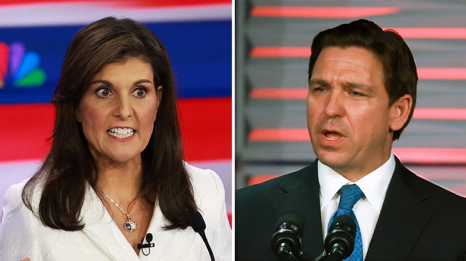 DeSantis blasts Haley's leadership by bringing up George Floyd tweet: 'Left-wing mindset'